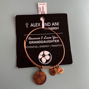 Alex and Ani Because I Love You Granddaughter NWT